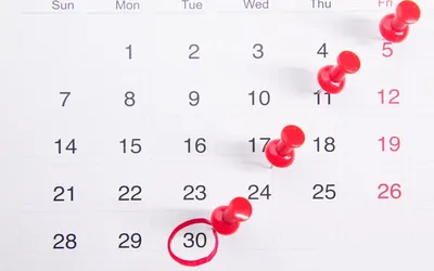 A calendar with red push pins marking key dates